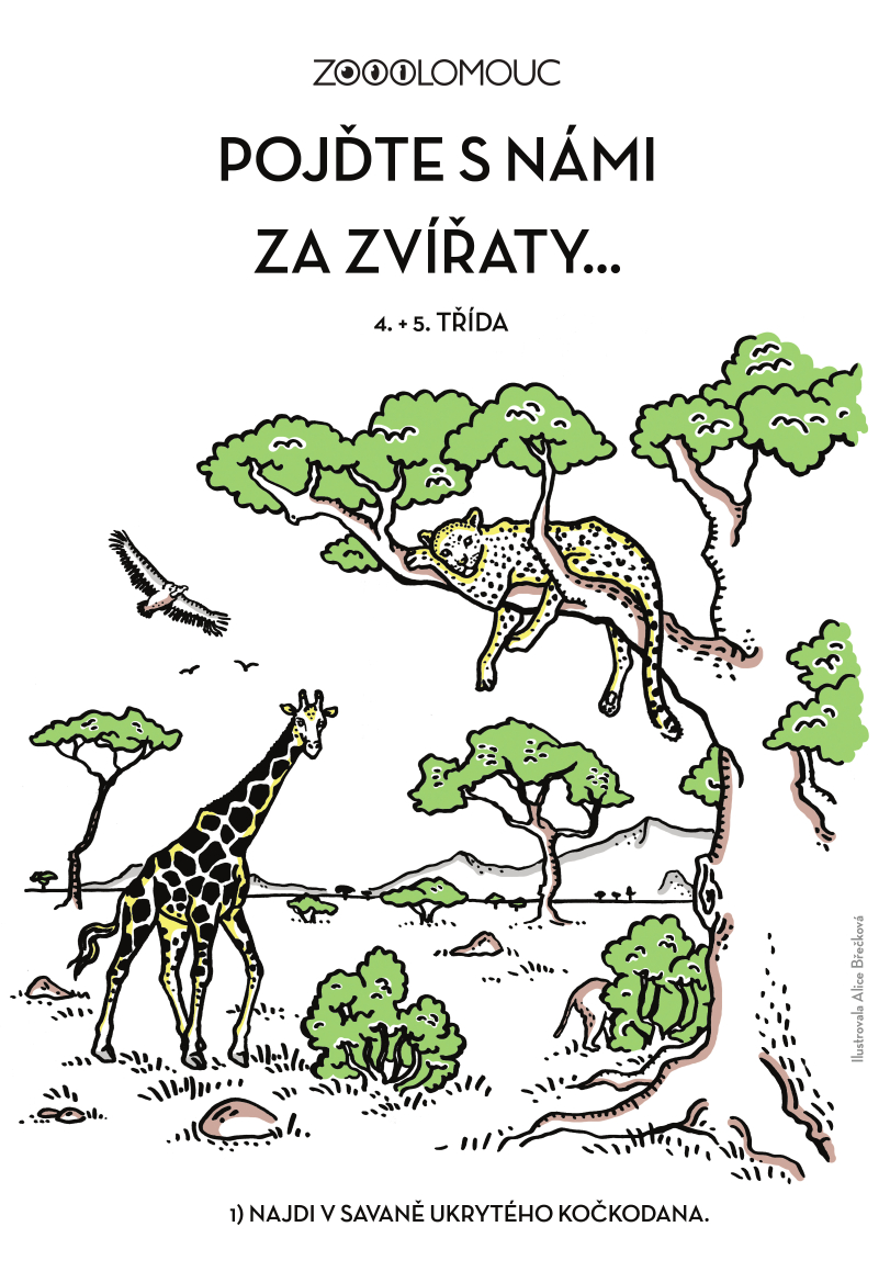 pracovní sešit